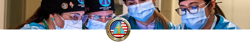 American Anatomy Institute