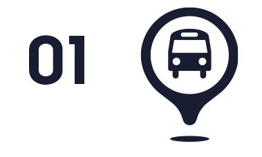 American Anatomy Institute