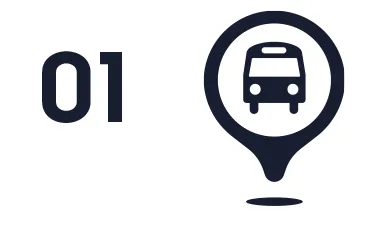 American Anatomy Institute