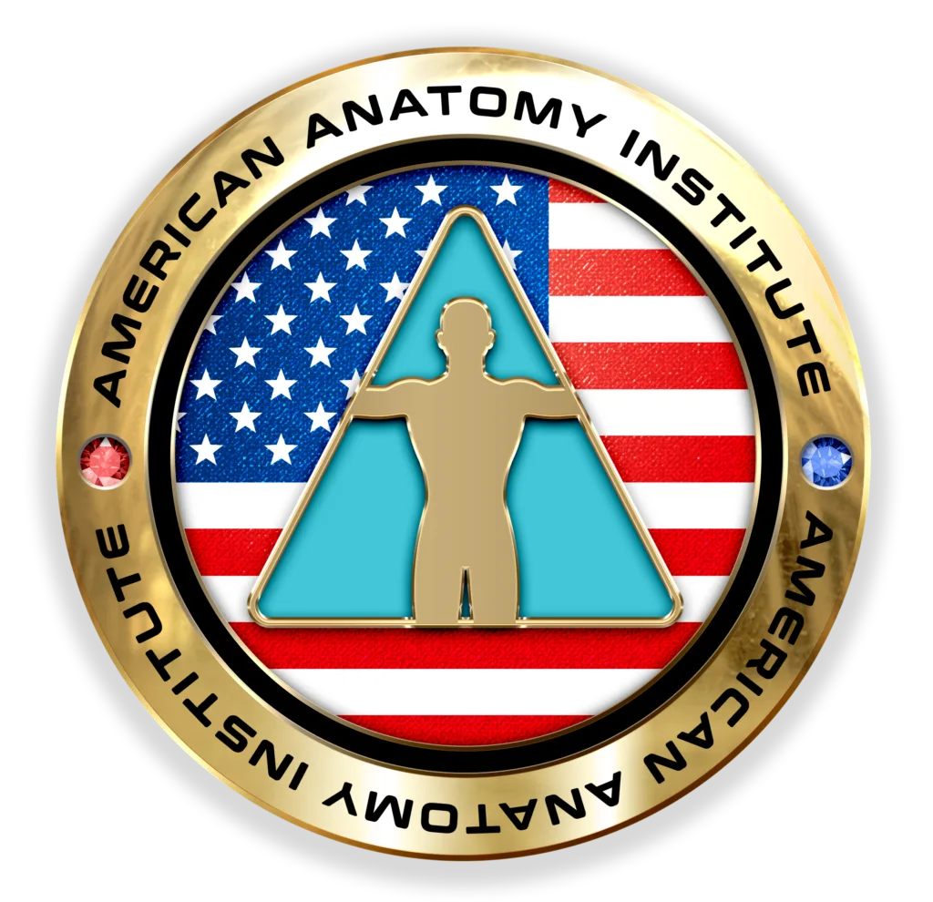 American Anatomy Institute