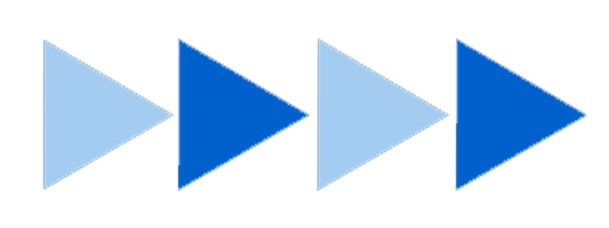 American Anatomy Institute