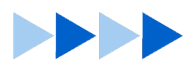 American Anatomy Institute