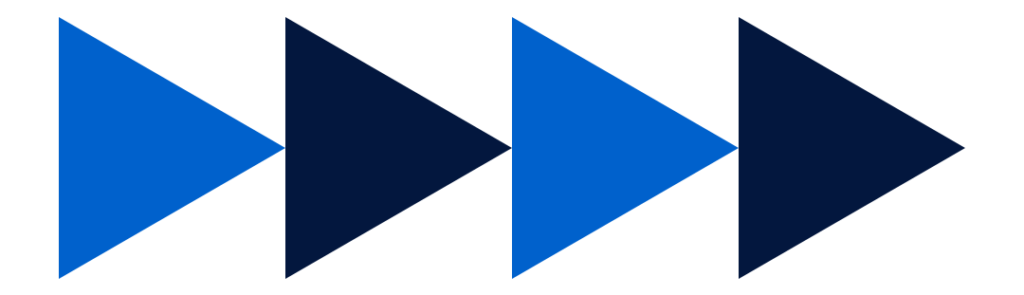 American Anatomy Institute