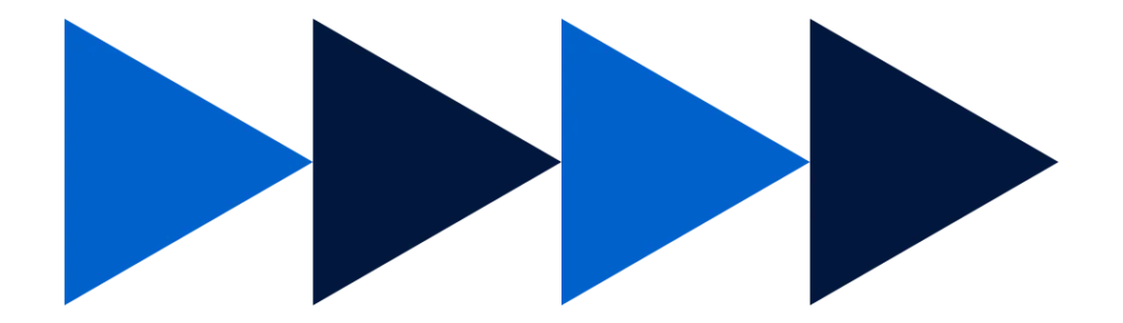 American Anatomy Institute