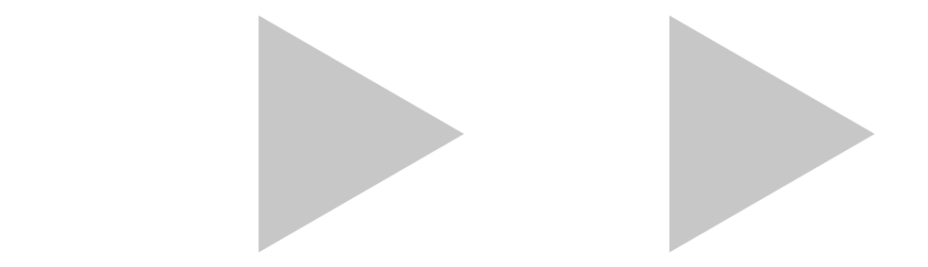 American Anatomy Institute