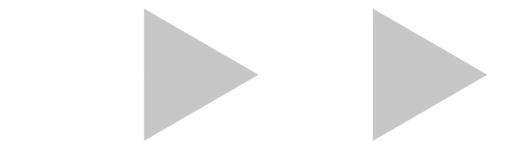 American Anatomy Institute