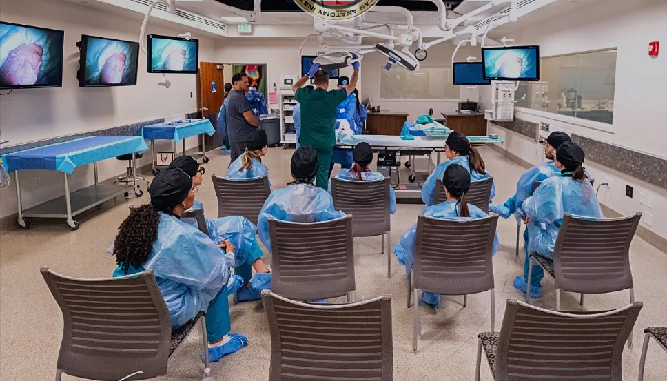 American Anatomy Institute