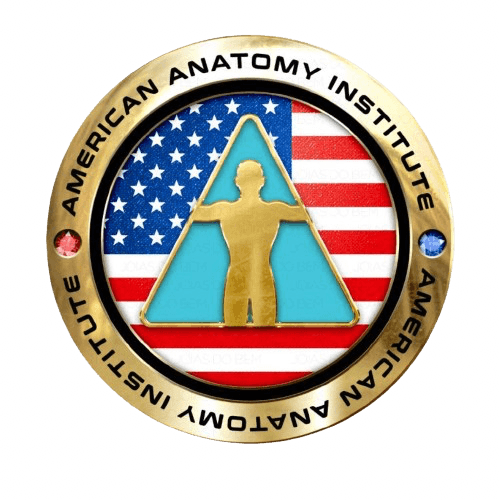 American Anatomy Institute