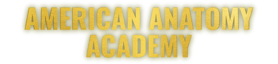 American Anatomy Institute