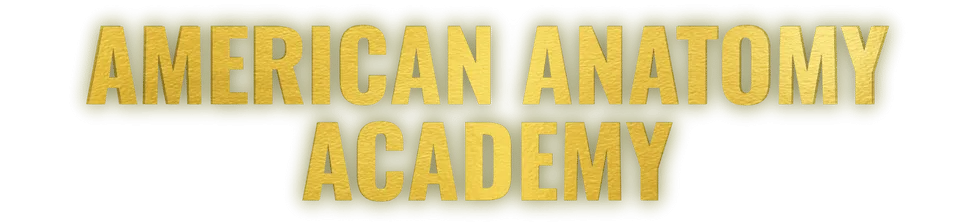 American Anatomy Institute