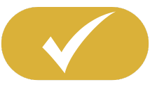 American Anatomy Institute