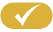 American Anatomy Institute