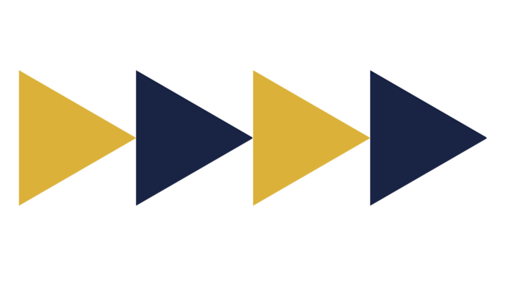 American Anatomy Institute