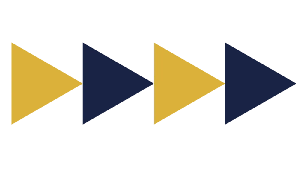 American Anatomy Institute