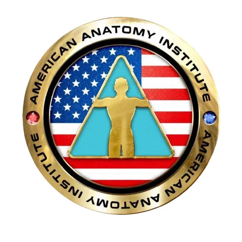 American Anatomy