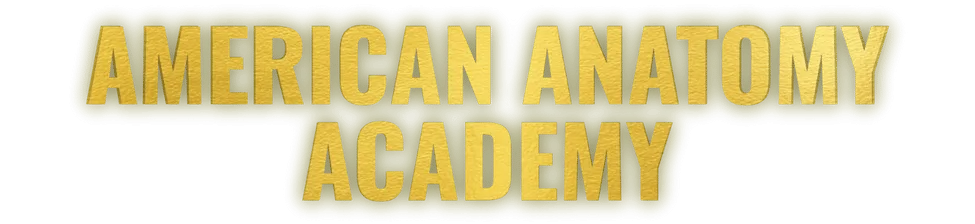 American Anatomy Institute