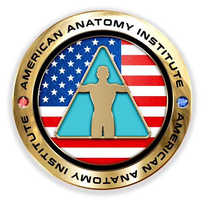 American Anatomy Institute