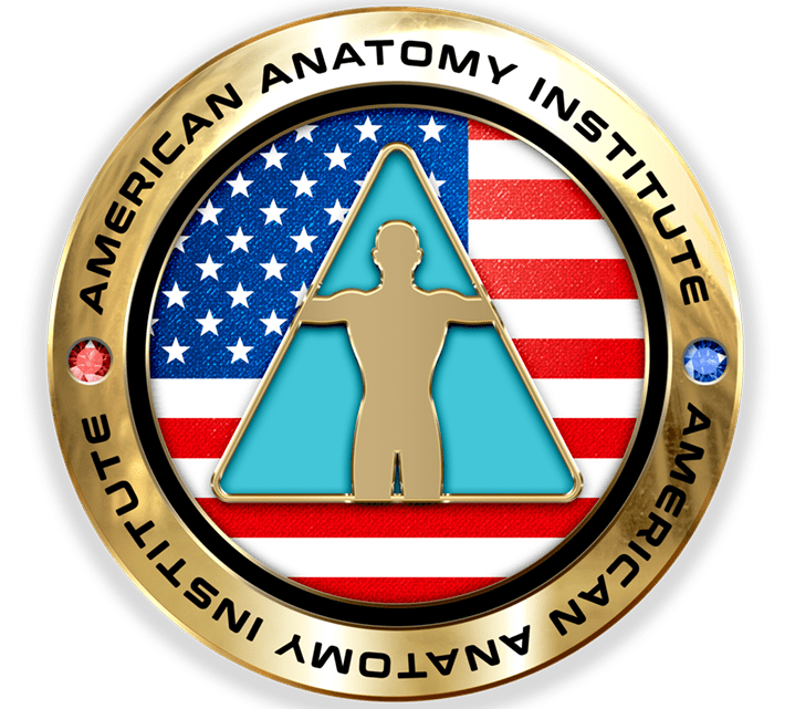 American Anatomy Institute
