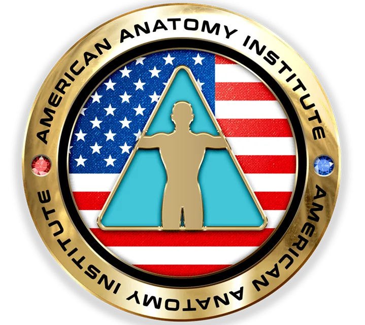 American Anatomy Institute