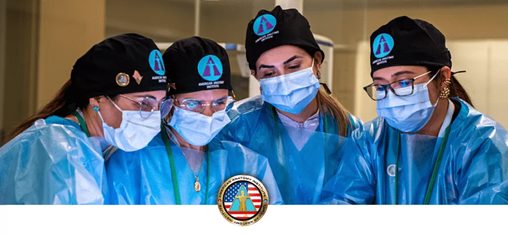 American Anatomy Institute