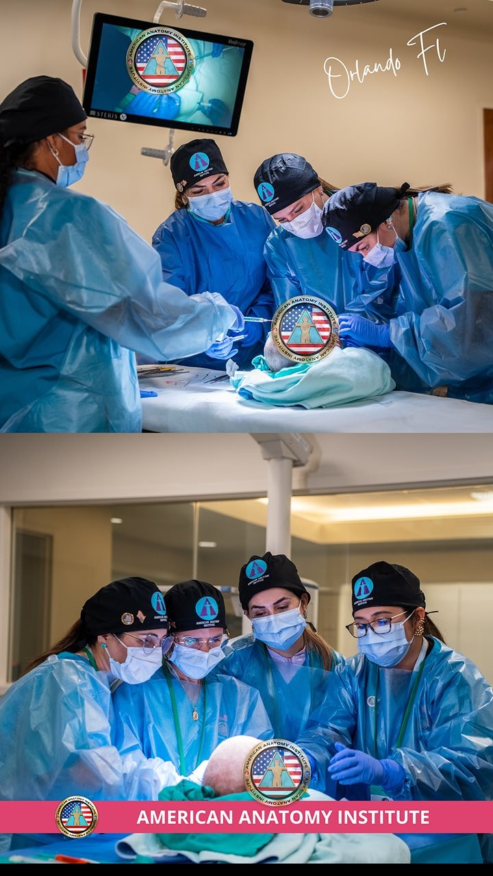 American Anatomy Institute