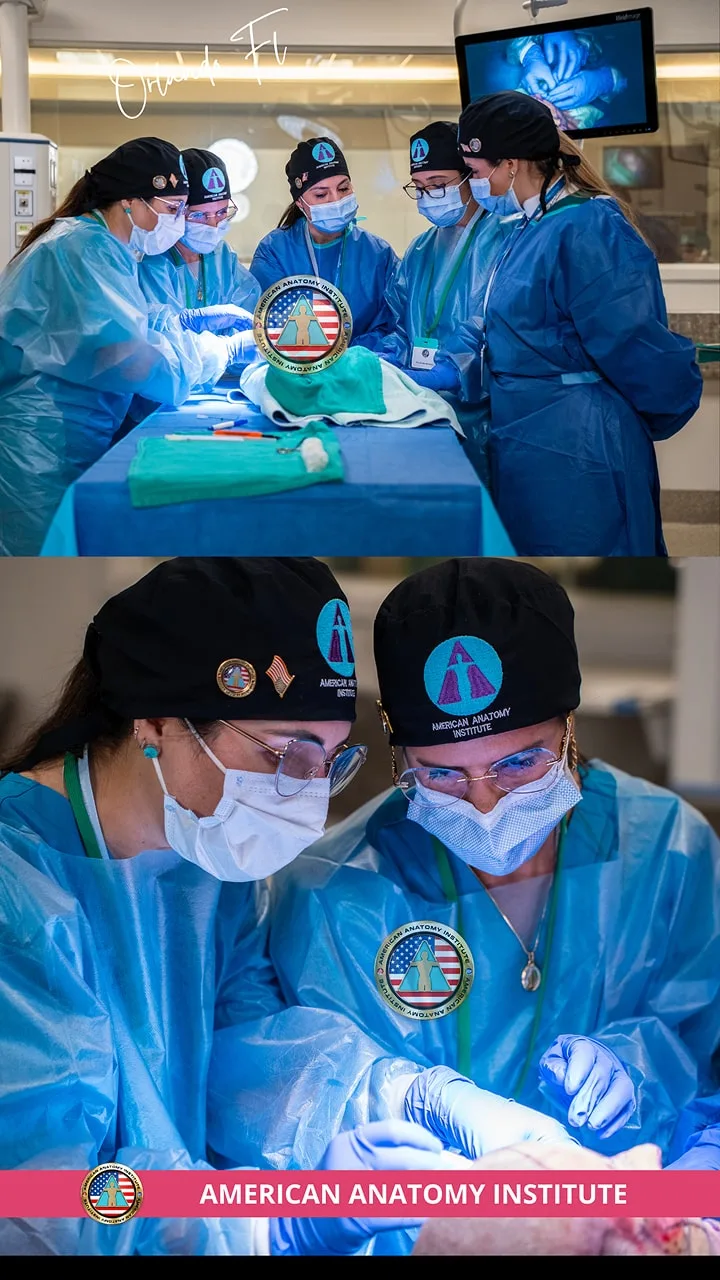 American Anatomy Institute