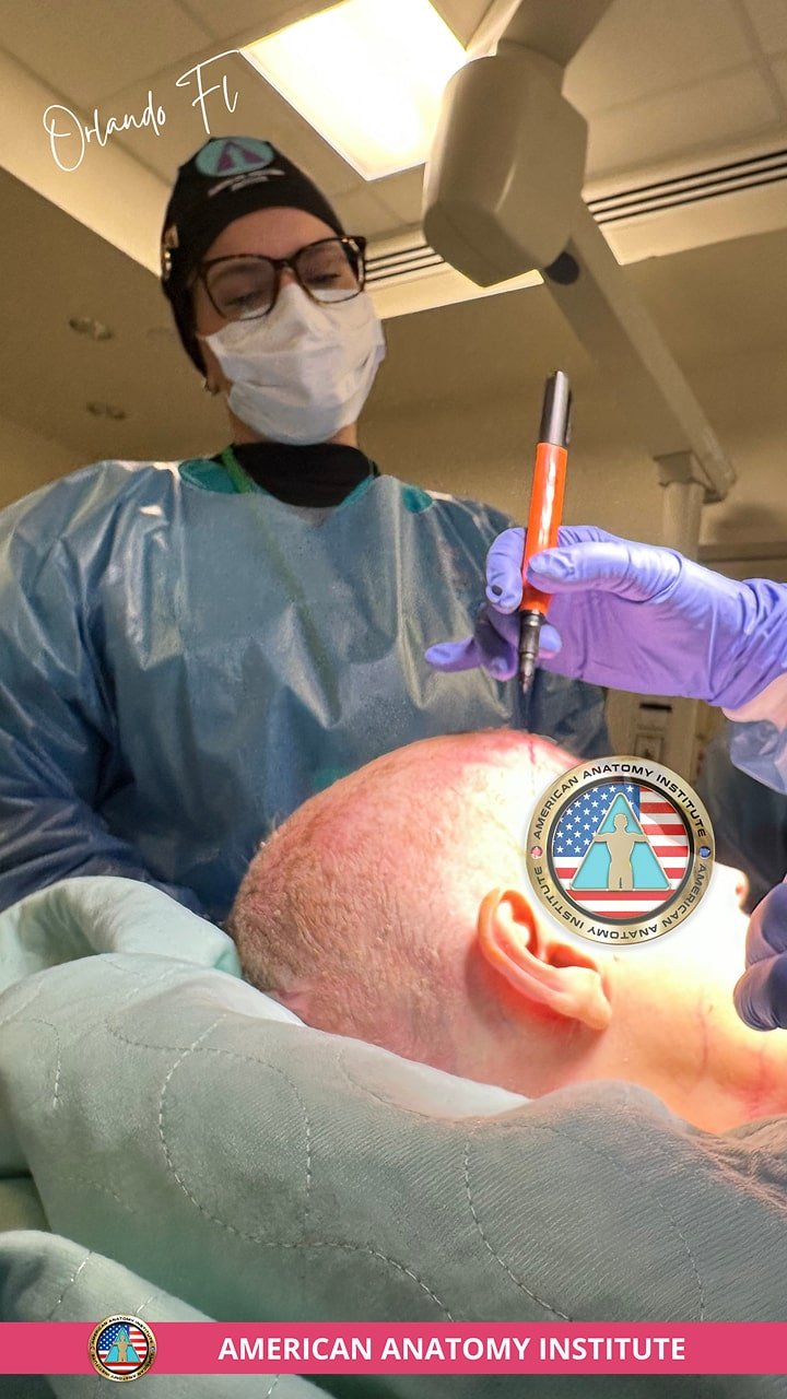 American Anatomy Institute